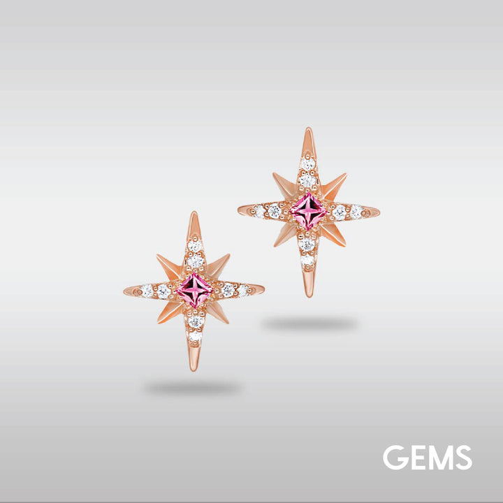 ACM GEMS