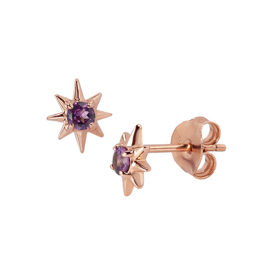 Teeny Amethyst Star Earring